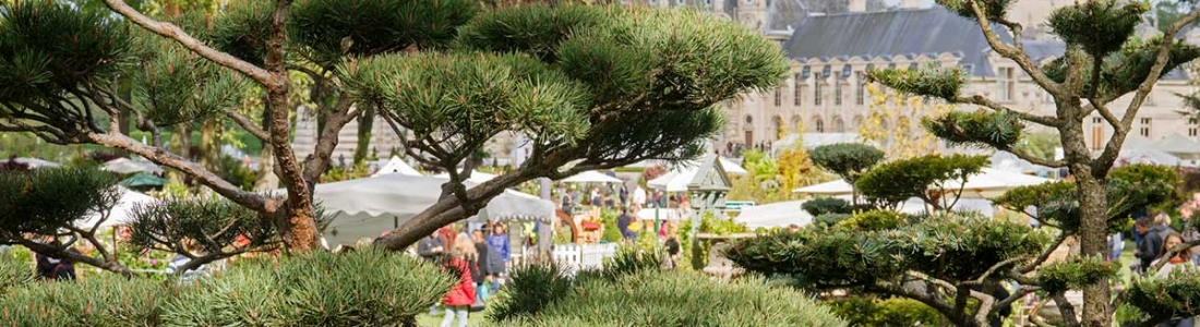 L’Europe des jardiniers a rendez-vous à Chantilly du 14 au 16 octobre