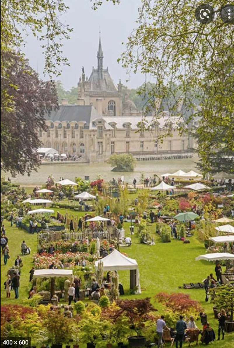 Illustration des Artikels "Les Journées des Plantes de Chantilly 2022 (Herbst)"