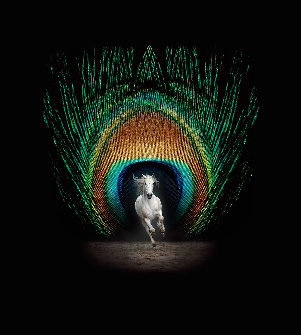 Illustrazione dell'articolo « Equestrian Show Metamorphoses (aprile a giugno) – Grandes Ecuries – Chantilly »