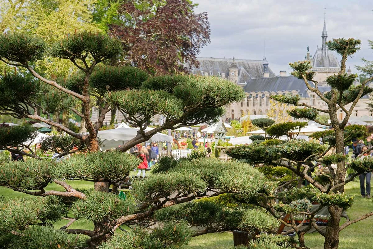 Illustration de l’article « L’Europe des jardiniers a rendez-vous à Chantilly du 14 au 16 octobre »