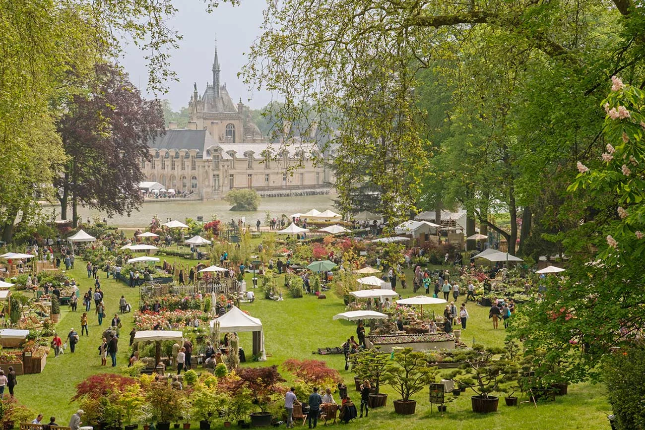 Illustration of the article « Journées des Plantes de Chantilly »