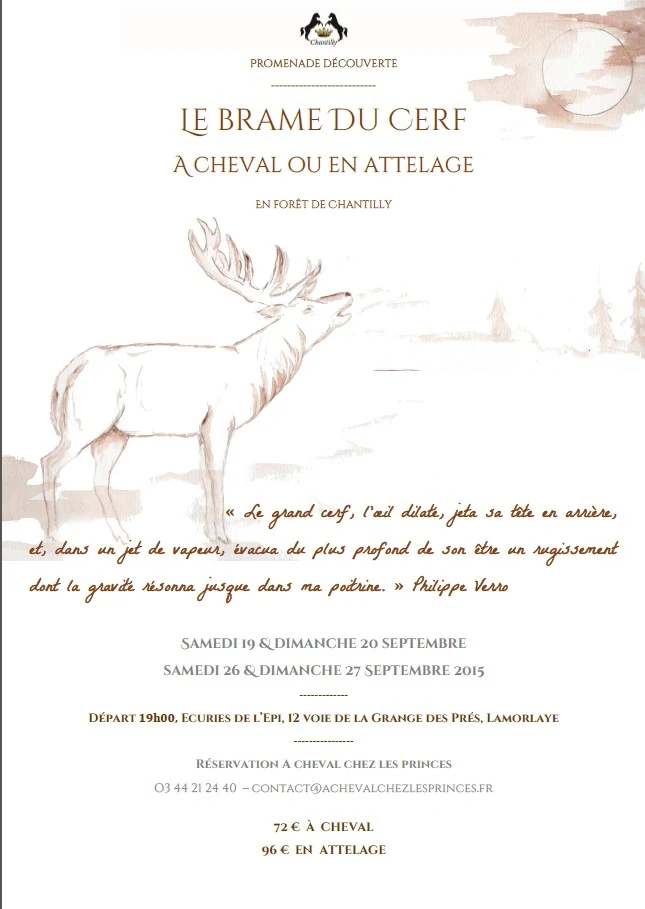 Illustration de l’article « Partez à l’aventure écouter le brame du cerf, en attelage dans la forêt de Chantilly. »