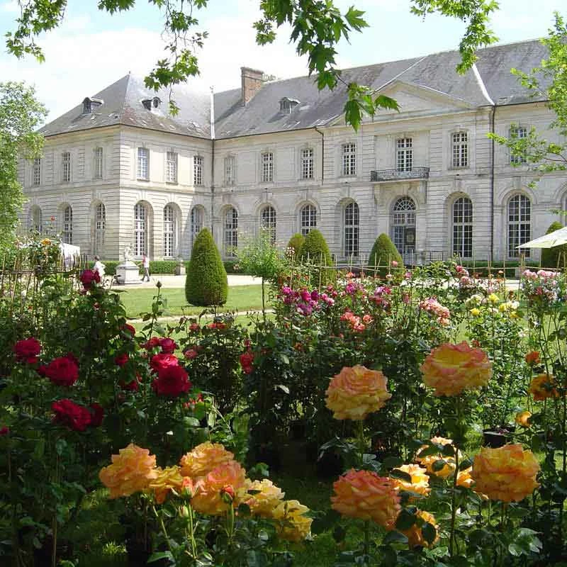 Illustration de l’article « Les Journées de la Rose 2018 Abbaye de Chaalis dans l’Oise »