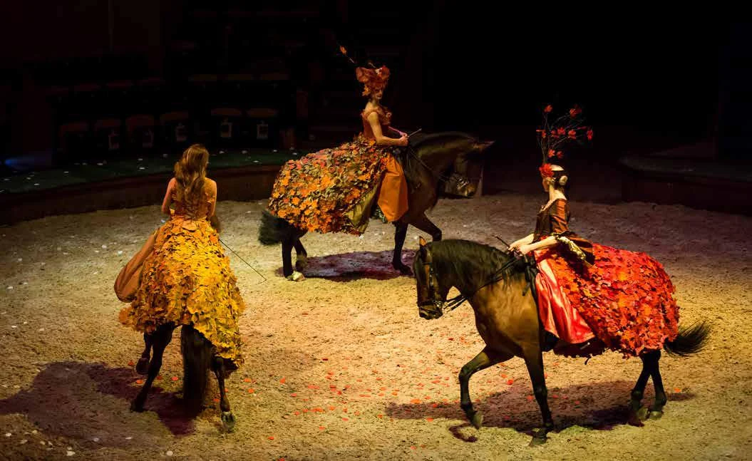 Illustration de l’article « Spectacle Equestre « Nature » »
