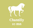 5- chantilly